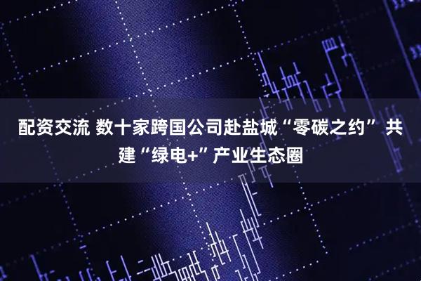 配资交流 数十家跨国公司赴盐城“零碳之约” 共建“绿电+”产业生态圈