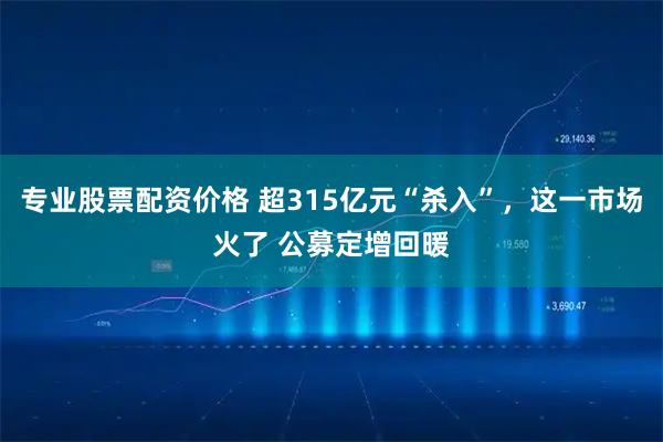 专业股票配资价格 超315亿元“杀入”，这一市场火了 公募定增回暖