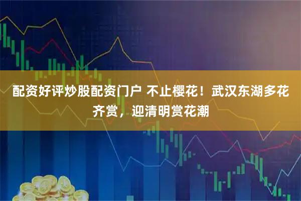 配资好评炒股配资门户 不止樱花!武汉东湖多花齐赏,迎清明赏花潮